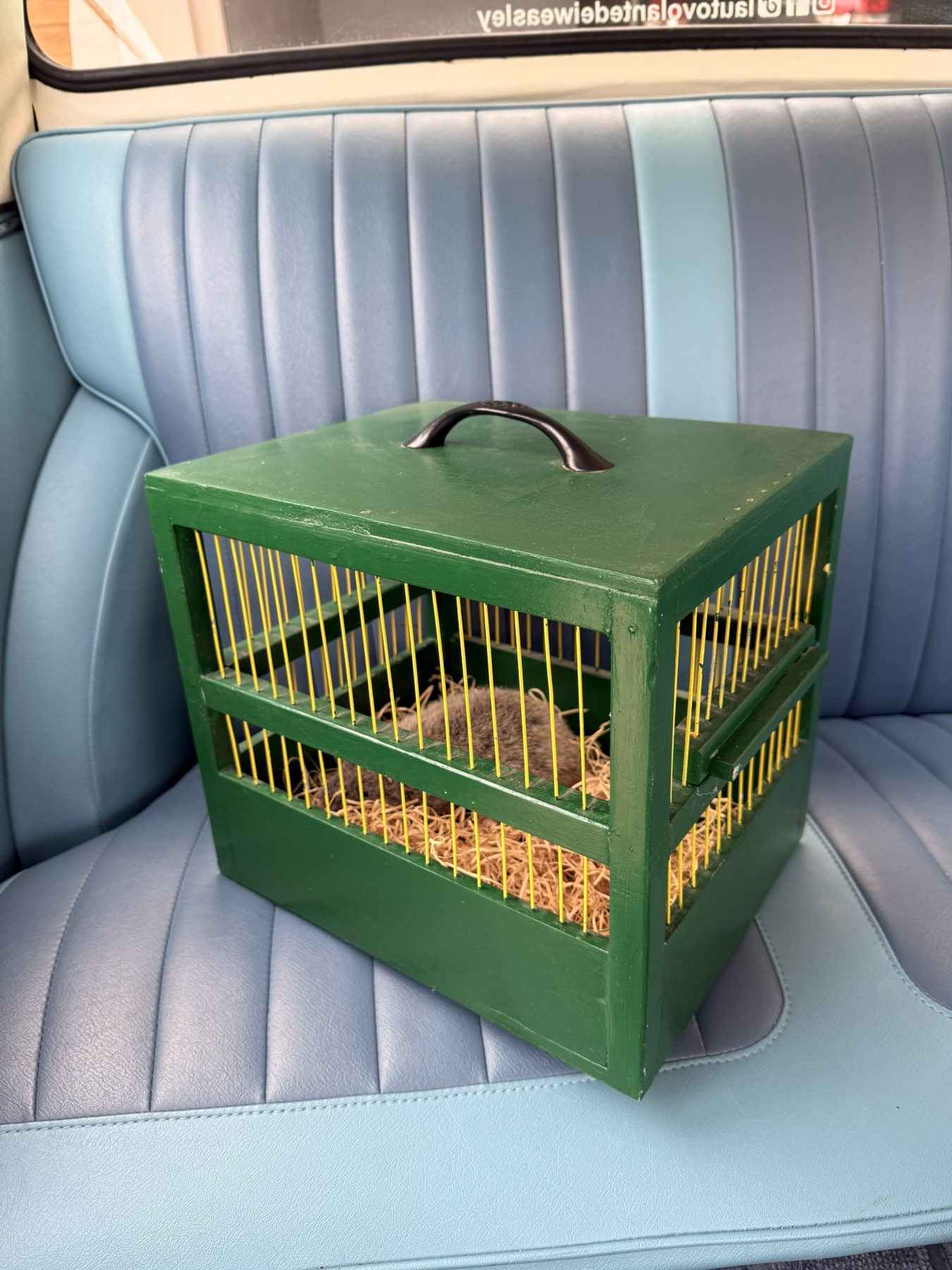 Set design - Ford Anglia 105E a noleggio per eventi e matrimoni